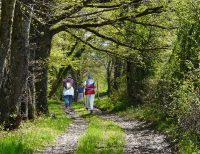 Circuit VTT 9 km – Le Vallon Saint-Jean