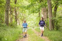 Les trois forêts – 35 km