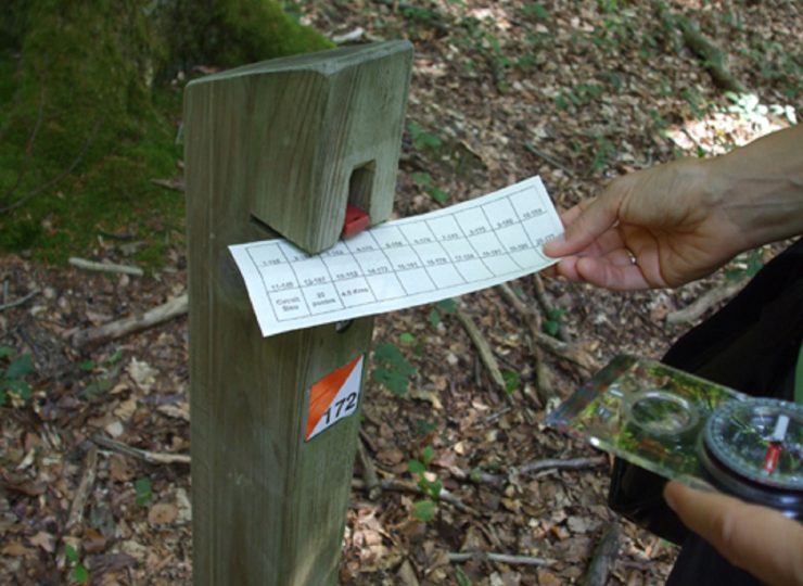 Co Forêt des Colettes