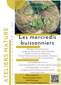 Les mercredis buissonniers