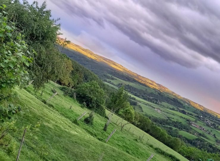 Panorama sur le département du Puy de Dôme