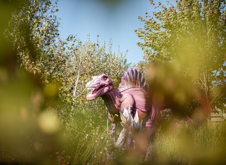 Paléopolis, la colline aux dinosaures_Gannat