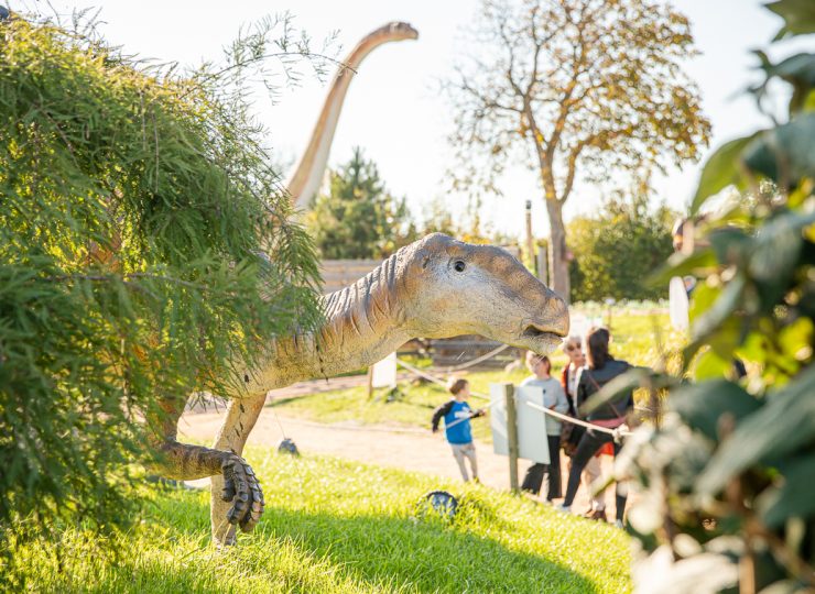 Paléopolis, la colline aux dinosaures_Gannat