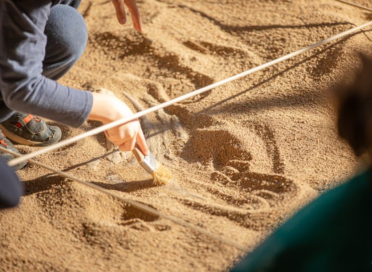 Paléopolis, la colline aux dinosaures_Gannat