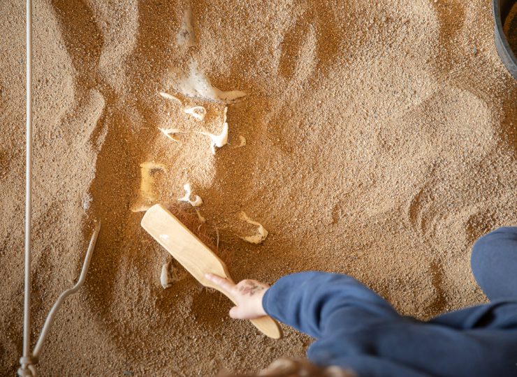 Paléopolis, la colline aux dinosaures_Gannat