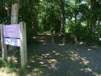 Sentier  forestier du petit Salbrune