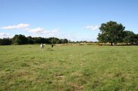 Camping à la ferme L’Hippocamp’