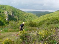 Spot Trail de La Bosse – Les sources de la Gourdonne